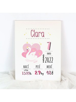 Lienzo Natalicio Datos Nacimiento CISNE