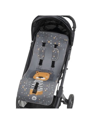 Fundas chairs Paseo