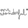 Mr. Wonderful